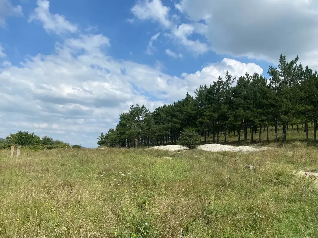Земельный участок 2,47 га в г. Белогорск