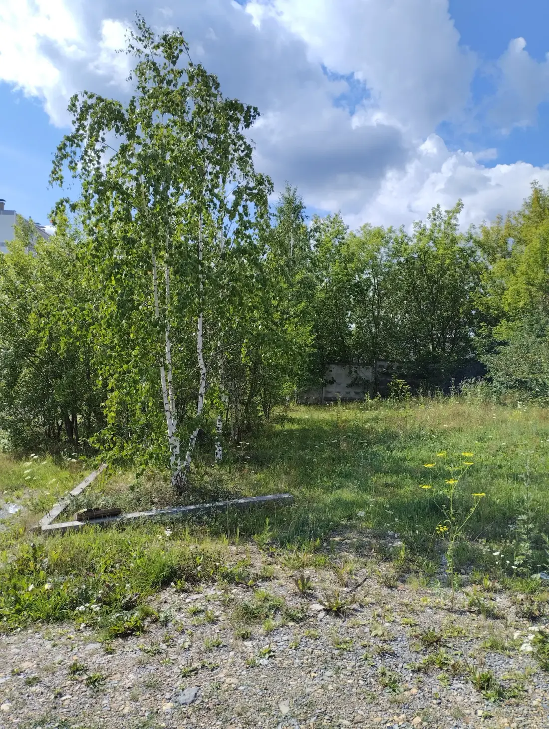 Земельный участок 0,1 га в Трехгорном городском округе