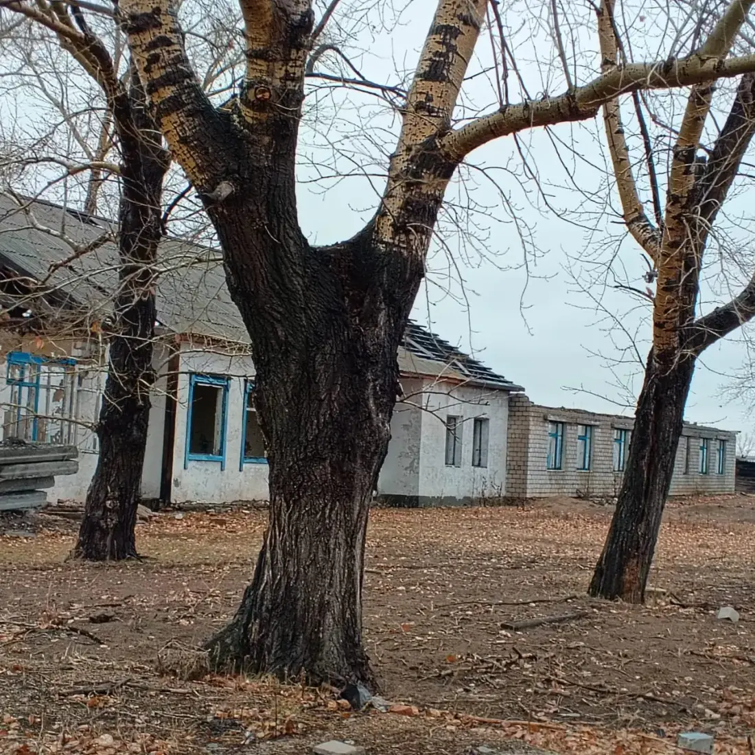 Земельный участок, Михайловский район, 0,46 га