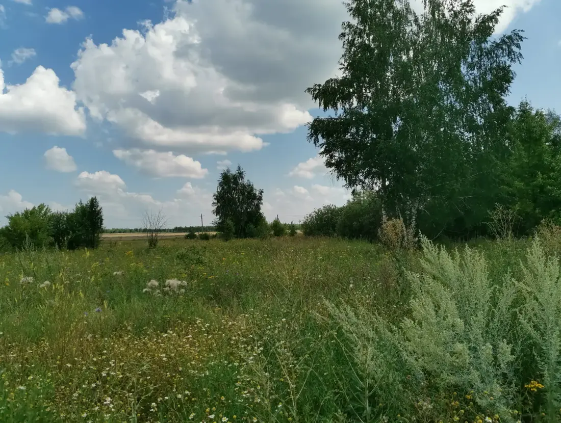 Земельный участок площадью 1,0 га