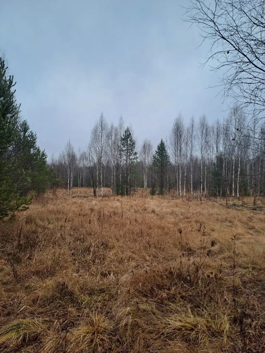 Земельный участок 45,68 га
