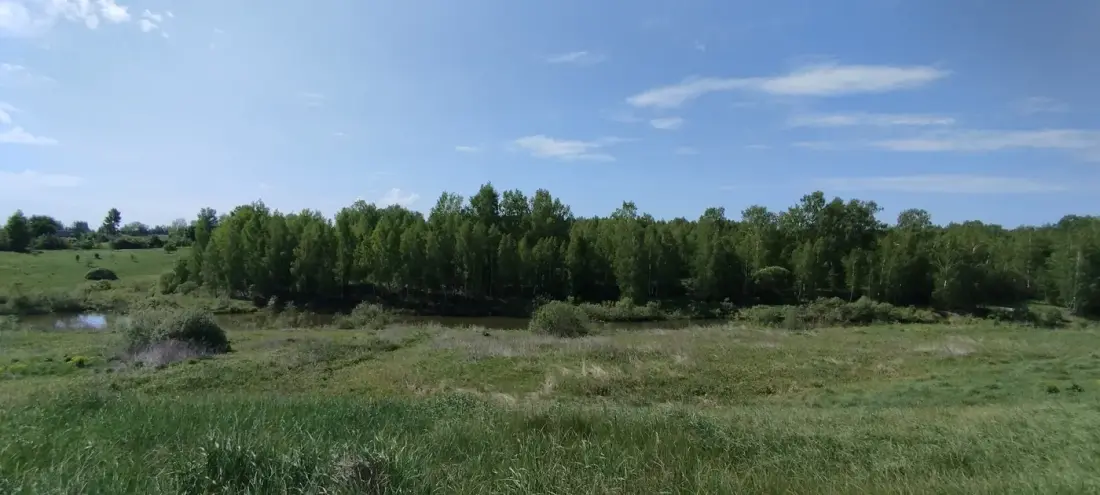 Земельный участок 8,62 га в Знаменском районе