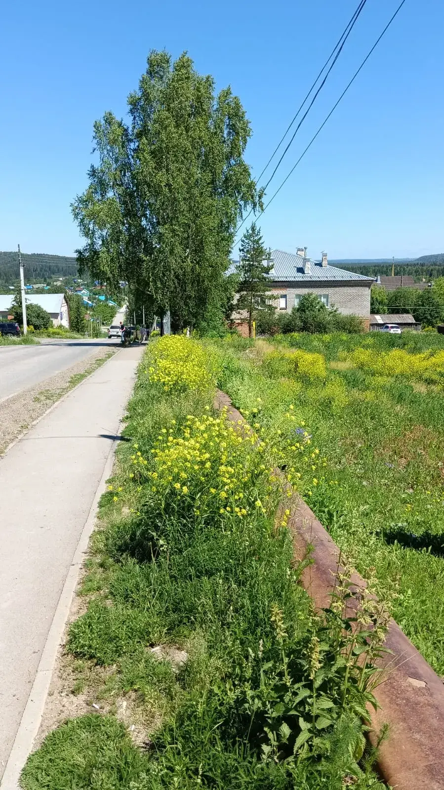 Земельный участок 0,17 га