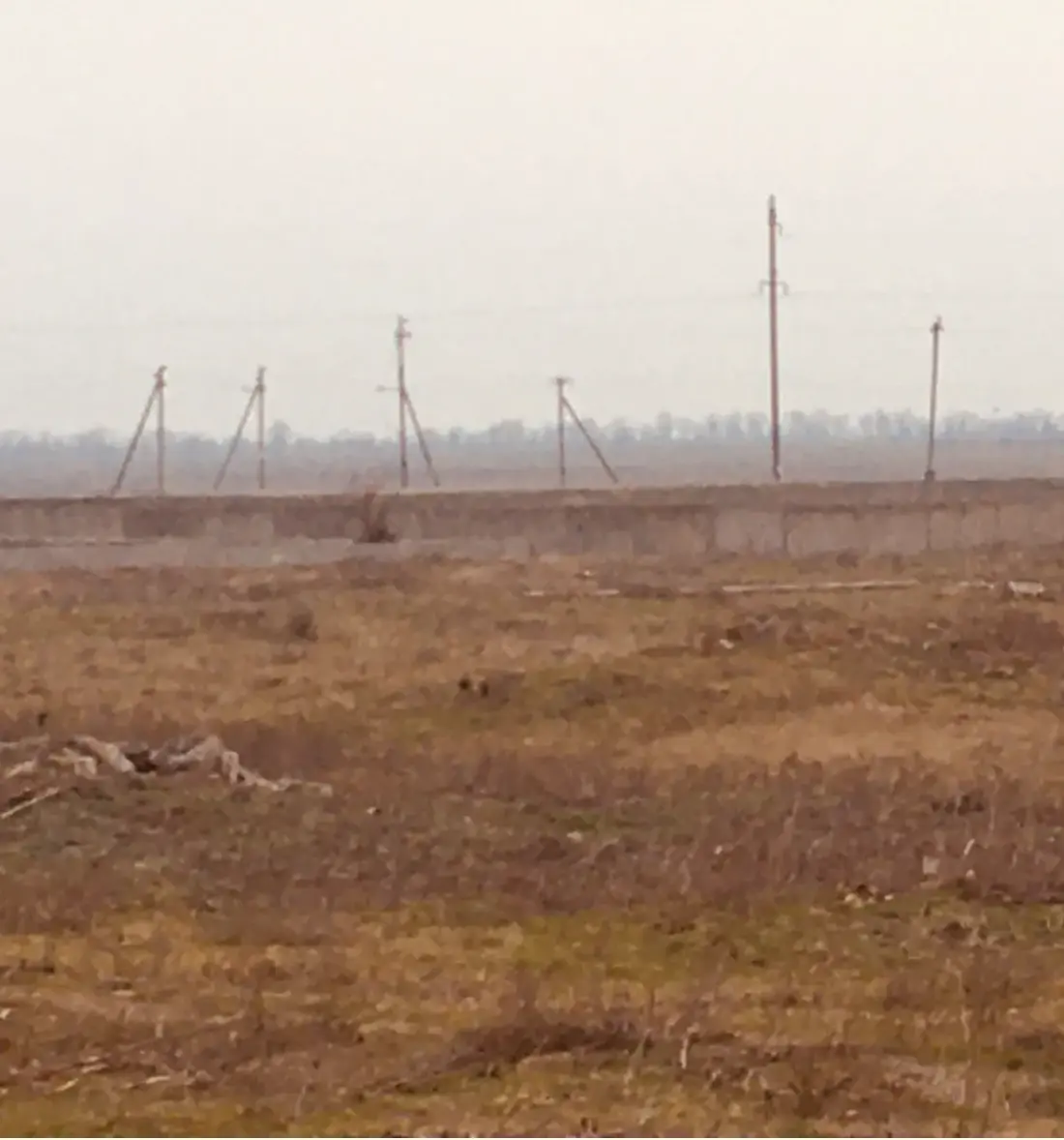 Земельный участок 1 га в с. Воробьево