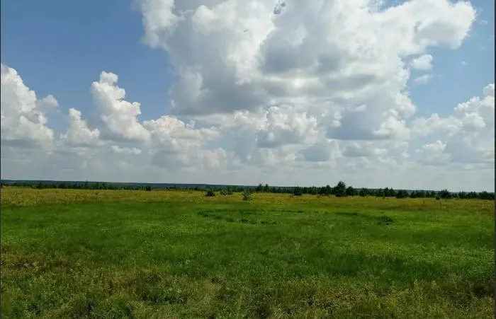 Промышленное производство