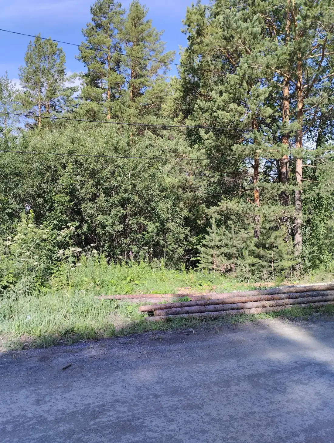 Земельный участок 0,4 га в Трехгорном городском округе