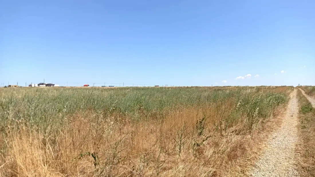 Земельный участок 10,99 га в с. Береговое